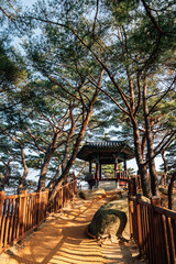 Fototapeta na wymiar Hajodae Korean traditional pavilion with green forest in Yangyang, Korea
