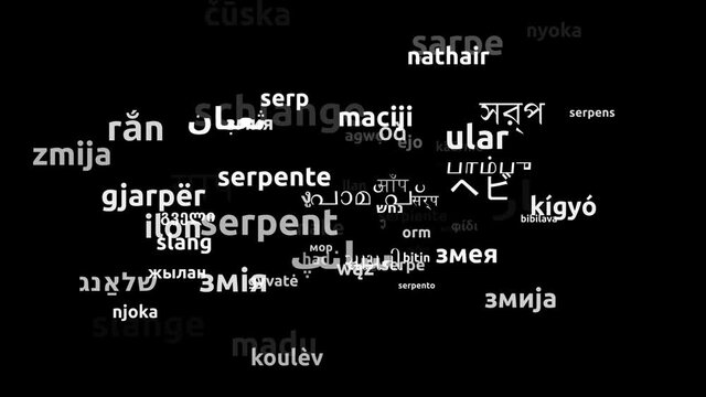 Snake Translated in 71 Worldwide Languages Endless Looping 3d Zooming Wordcloud Mask
