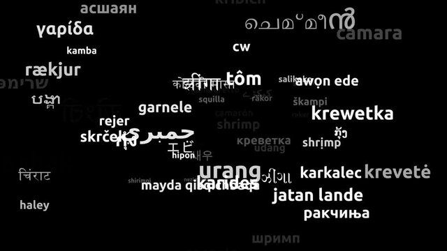 Shrimp Translated in 63 Worldwide Languages Endless Looping 3d Zooming Wordcloud Mask