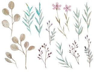Fototapeta na wymiar Vintage watercolor meadow plants and flowers. Set of hand painted elements on white background