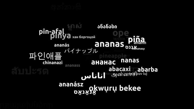 Pineapple Translated in 53 Worldwide Languages Endless Looping 3d Zooming Wordcloud Mask