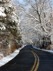 Snowy Lane