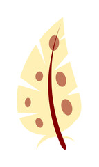 Colorful feather quill pen isolated on white background