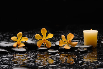 spa still life of with three orchid with candle 
and zen black stones ,wet background
