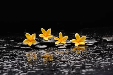 Zelfklevend Fotobehang spa still life of with  four yellow frangipani and zen black stones ,wet background  © Mee Ting