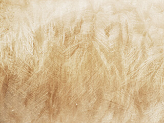 wheat field background