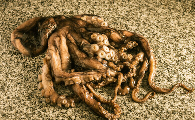 Small raw octopus on granite countertop