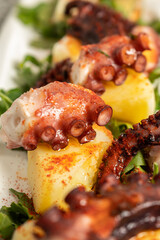 Close-up of Galician Octopus, with potatoes, paprika, olive oil on a rustic granite background. Spanish ethnic cuisine concept.
