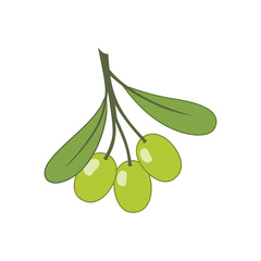 Green olives on a twig. Vector illustration in cartoon style.