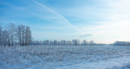 Snow covered winter field with trees. Winter landscape. Beautiful winter nature.