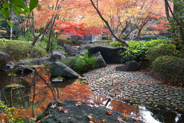 秋の彩りが映える　-日本、東京都、大田黒公園
