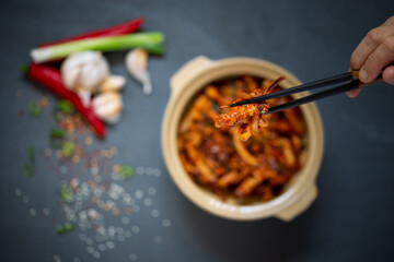 Korean Style Spicy Squid with Pork which is called Ohsambulgogi