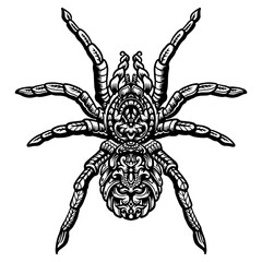 Hand drawn of spider or tarantula zentangle arts . vector illustration
