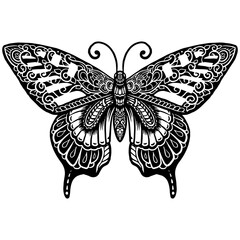 Hand drawn of Butterfly zentangle arts . vector illustration