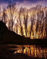 Naklejka premium atardecer en el rio