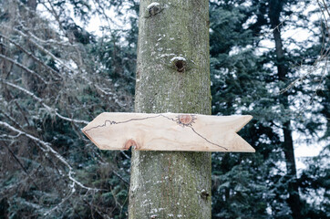 Fir wood arrow sign hanging on a tree
