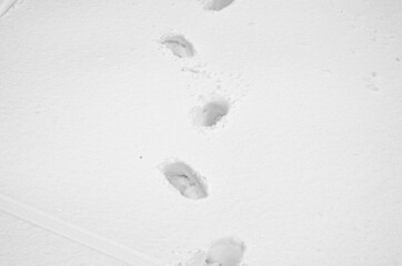 Close-up  traces of boots in the snow