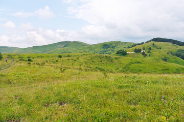 Fototapeta na wymiar Marvellous landscape with meadows and forests in foothills of North Caucasus.