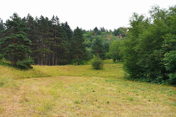 Beautiful landscape with forest in foothills of North Caucasus.