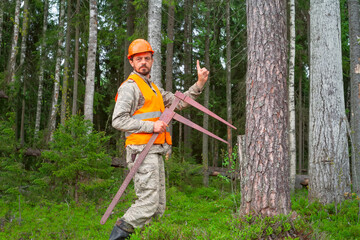 Forester with a measuring tool in his hands makes forest inventory. Real people work in the forest.