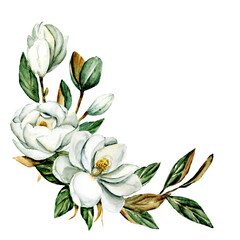 White flowers magnolia, watercolor floral clip art. Perfectly for printing design on invitation, card, wall art and other. Isolated on white background. Hand painting. © Larisa
