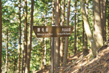 蓑毛越～大山山頂間の標識