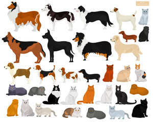 A set of dogs and cats of various breeds on a light background. Collection of animals.