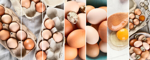 Raw chicken eggs collage. Food concept.