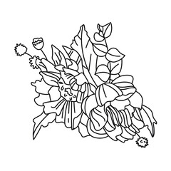 Black-white drawing of peonies flowers. Clip art. Suitable for postcards, flyers, banners, invitations. Vector illustration for art therapy, antistress coloring page for adults and children.