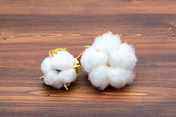 Cotton close-up. The buds of the cotton plant are collected on a wooden background. Environmentally friendly raw materials.