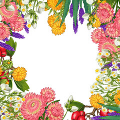 Obraz premium Hand drawn medicinal plant frame. Healing herbs border. isolated on white background