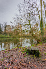 Stump next to a lake with reflection on the water surface, wet brown leaves on the ground, the ruins of Stein castle in the background bare autumn trees, cloudy day in South Limburg, the Netherlands