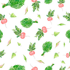Spring seamless pattern. Bunch of green dill and pink radish, leaves. Isolated on white background.  Perfect for printing on the fabric, design package and cover, wrapping paper, farmers market