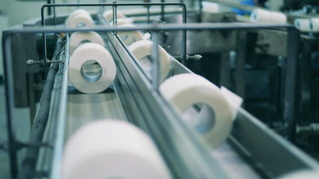 Rolls of toilet paper are moving along the conveyor