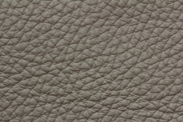 elephant skin texture