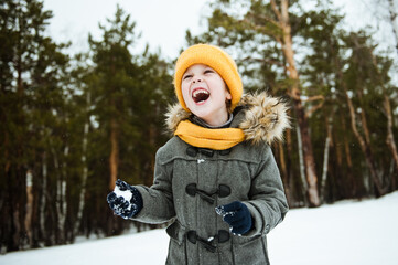 Fototapeta premium Cute a boy in warm yellow hat and gray overcoat walking in winter the forest.