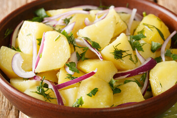 Light Mediterranean potato salad with onions, herbs and olive oil close-up in a bowl on the table. horizontal