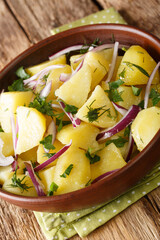 Greek vegetarian potato salad with olive oil close-up in a bowl on the table. vertical