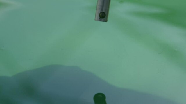 Spirulina, algae, 4K, slow motion