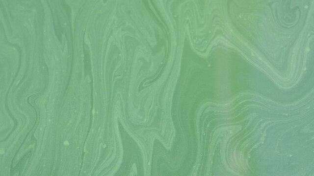 Spirulina, algae, 4K, slow motion