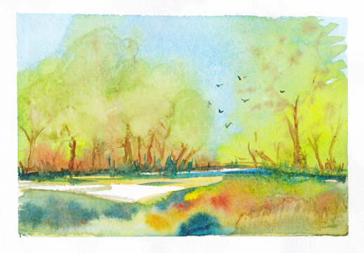 Spring landscape. Trees in the forest, birds flew watercolor illustration. Drawing on textured watercolor paper. Nature glade, lawn in a pack.