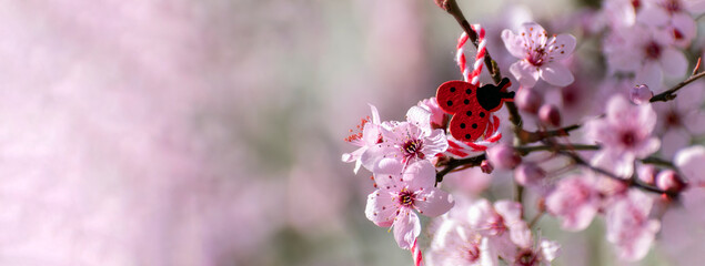 Banner Spring border or background with pink blossom and decorative ladybug. Abstract floral backdrop of purple flowers over pastel colors with soft style for spring or summer time. copyspace. © Elena