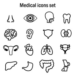 Vector medical icon set of organs/ Anatomy vector icons.