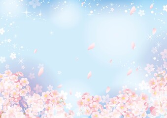 桜の背景02