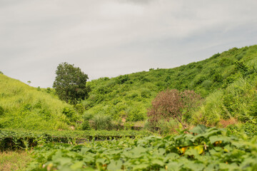 Mountain landscape panorama, beauty of nature. chittagong