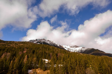 mountain with pinetrees and snow with white clouds