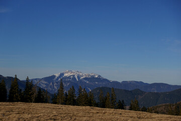 view to a hill with grass and high mountain with snow