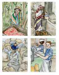 Watercolor illustration of the process of creating coffee by workers from different countries, a series of stages, made by hand, on a bright background.
