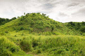 Fototapeta premium Horizontal view of forest behind hill on the blue cloudy sky. tree in forest with fog .