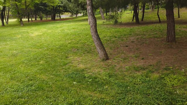 At The Park